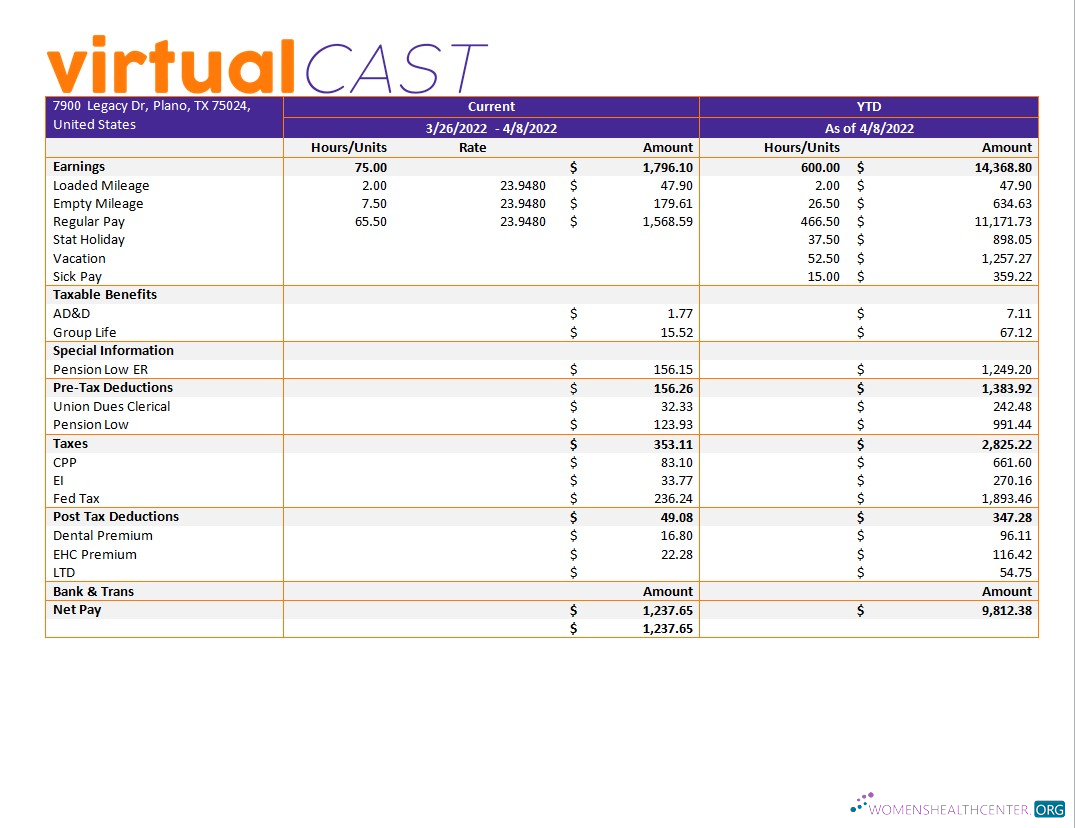 Download video conferencing company payroll template in Word and PDF formats Photoshop template
